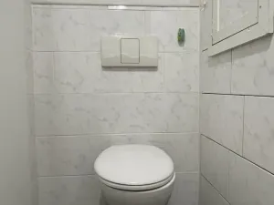 Prodej bytu 2+1, Chomutov, Holešická, 62 m2