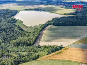 Prodej lesa, Bohuslavice, 11971 m2