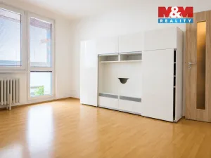 Pronájem bytu 1+kk, Hradec Králové - Slezské Předměstí, Třebechovická, 35 m2