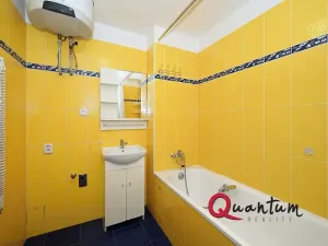 Pronájem bytu 1+kk, Praha - Vinohrady, Fričova, 31 m2