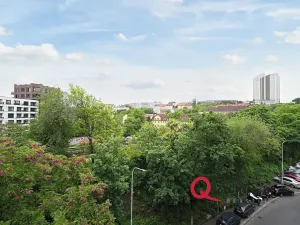 Pronájem bytu 1+kk, Praha - Vinohrady, Fričova, 31 m2