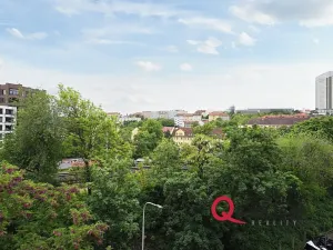 Pronájem bytu 1+kk, Praha - Vinohrady, Fričova, 31 m2