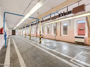 Pronájem komerční nemovitosti, Děčín, Rudolfova, 5199 m2