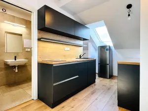 Pronájem bytu 2+kk, Brno, Francouzská, 57 m2