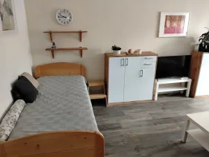Pronájem bytu 1+1, Slaný, Plynárenská, 35 m2