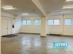 Pronájem skladu, Ostrava, Pavlovova, 110 m2
