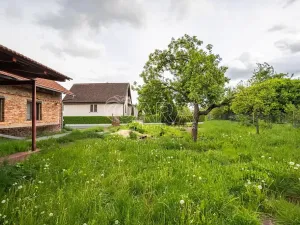 Prodej rodinného domu, Bohuslavice, 239 m2