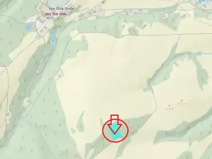 Prodej lesa, Bílá Voda, 6175 m2