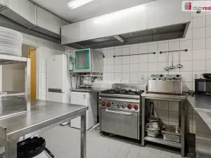 Prodej ubytování, Nové Hamry, 350 m2