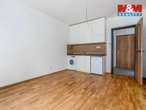 Pronájem bytu 1+kk, Praha - Třebonice, U Zličína, 23 m2