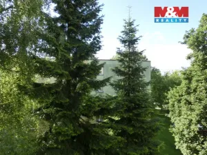 Prodej bytu 2+1, Orlová - Lutyně, Vojtěcha Martínka, 53 m2
