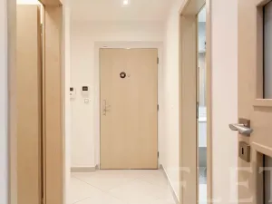 Pronájem bytu 1+kk, Praha - Žižkov, Olšanská, 43 m2