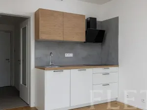 Pronájem bytu 1+kk, Praha - Strašnice, Ramonova, 27 m2