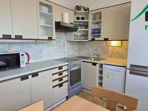 Pronájem bytu 3+1, Planá, 79 m2