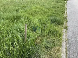 Prodej pozemku pro bydlení, Brloh, 994 m2