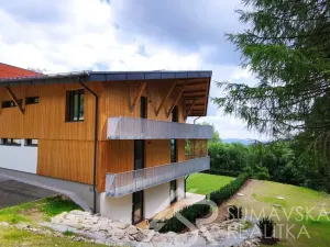 Prodej bytu 1+kk, Stachy, Zadov, 27 m2