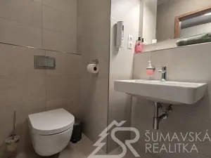 Prodej bytu 1+kk, Stachy, Zadov, 27 m2