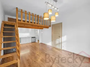 Pronájem bytu 2+kk, Praha - Libeň, U svobodárny, 69 m2