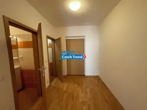 Pronájem bytu 1+kk, Olomouc, Peškova, 47 m2