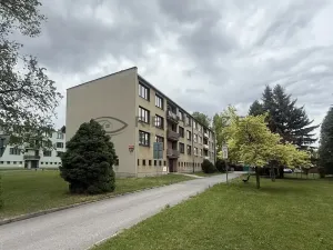 Prodej bytu 2+1, České Velenice, Revoluční, 40 m2