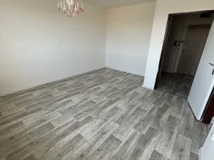 Pronájem bytu 1+1, Frýdek-Místek, Lískovecká, 32 m2