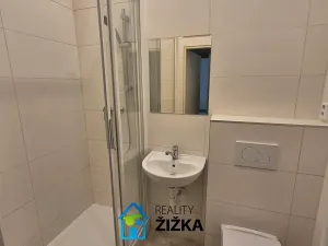 Pronájem bytu 1+1, Brno, Burešova, 47 m2