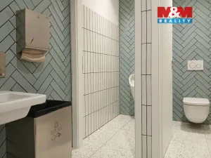 Prodej obchodního prostoru, Opava - Město, Masarykova třída, 80 m2