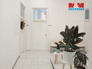 Prodej obchodního prostoru, Opava - Město, Masarykova třída, 50 m2