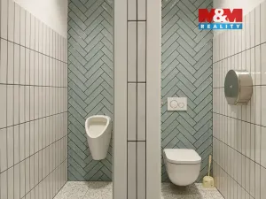 Prodej obchodního prostoru, Opava - Město, Masarykova třída, 40 m2