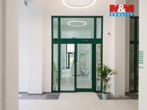 Prodej obchodního prostoru, Opava - Město, Masarykova třída, 30 m2