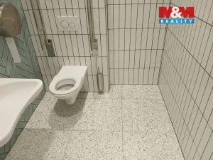 Prodej obchodního prostoru, Opava - Město, Masarykova třída, 20 m2