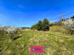 Prodej pozemku pro bydlení, Olšany, 2035 m2