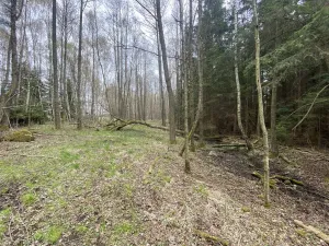 Prodej pozemku, Volfířov - Brandlín, 5958 m2