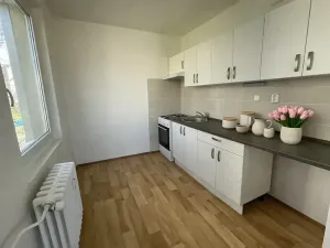 Pronájem bytu 3+1, Litvínov, Valdštejnská, 68 m2