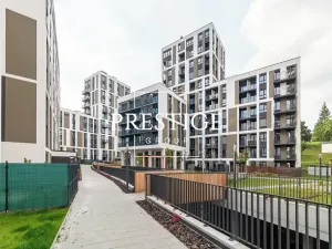 Pronájem bytu 1+kk, Praha - Žižkov, Olgy Havlové, 40 m2