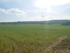 Prodej pozemku pro bydlení, Rokycany, Tymákovská, 12831 m2