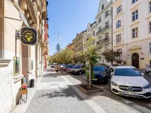 Prodej bytu 4+kk, Praha - Žižkov, Slavíkova, 87 m2