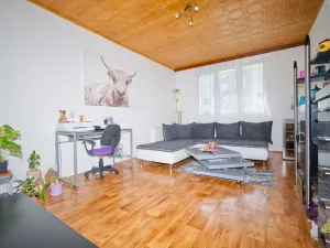 Prodej bytu 2+1, Zbiroh, Majerové, 57 m2