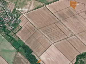Prodej pole, Přešovice, 167268 m2