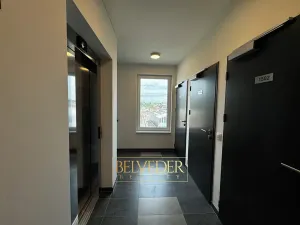 Pronájem bytu 2+kk, Praha - Hloubětín, Sobí, 55 m2