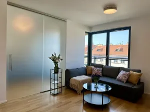 Pronájem bytu 2+kk, Praha - Žižkov, Krásova, 38 m2