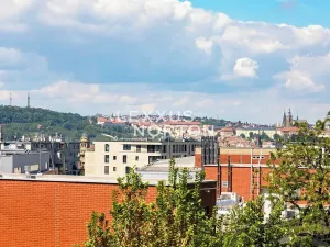 Pronájem bytu 2+kk, Praha - Žižkov, U Rajské zahrady, 59 m2