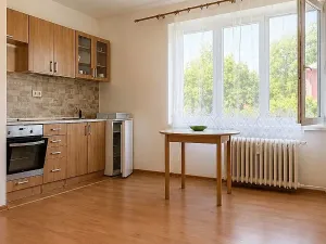 Pronájem bytu 1+kk, Ostrava, Krakovská, 27 m2