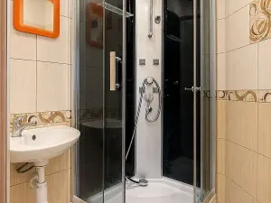 Pronájem bytu 1+kk, Ostrava, Krakovská, 27 m2