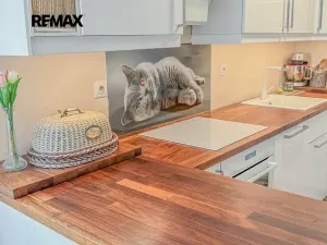 Prodej rodinného domu, Bašť, K Šíbrovce, 81 m2