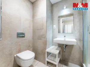 Prodej bytu 1+kk, Praha - Žižkov, Tetauerova, 33 m2