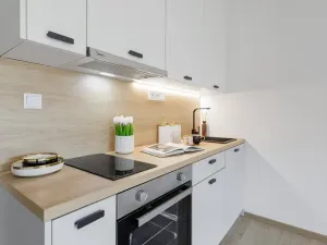 Pronájem bytu 1+kk, Slaný, Lázeňská, 33 m2