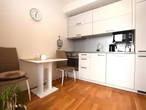 Pronájem bytu 1+kk, Dobříš, U Pivovaru, 30 m2