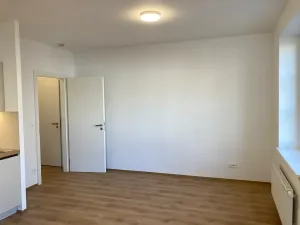 Pronájem bytu 1+kk, Praha - Žižkov, Na rovnosti, 32 m2