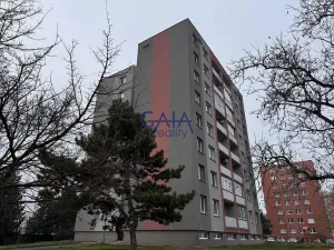 Pronájem bytu 3+1, Hodonín, Anenská, 64 m2